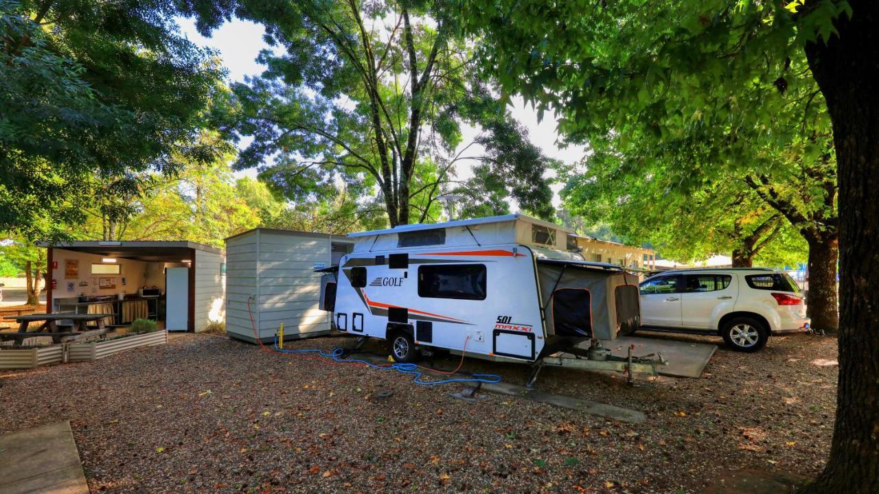 Big4 Porepunkah Holiday Park Bright Exterior photo